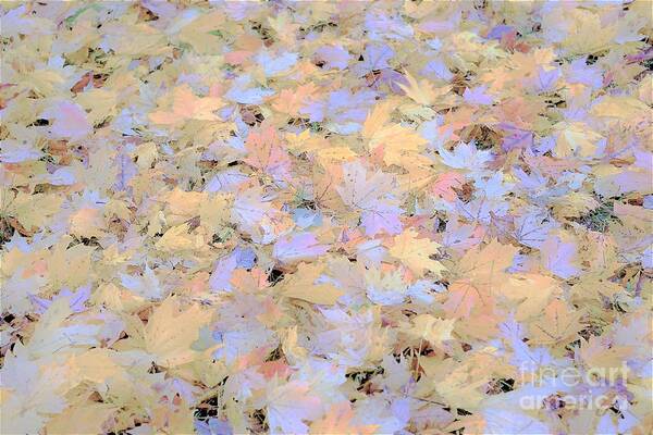 Leaves Art Print featuring the photograph Home Leaves3 by Merle Grenz