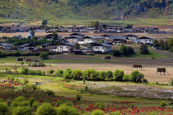 Grass Art Print featuring the photograph Home Of Tibet Nationality by Zhouyousifang