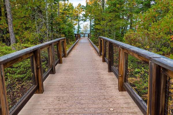 Trail Art Print featuring the photograph Hunter's Point at Copper Harbor by Susan Rydberg