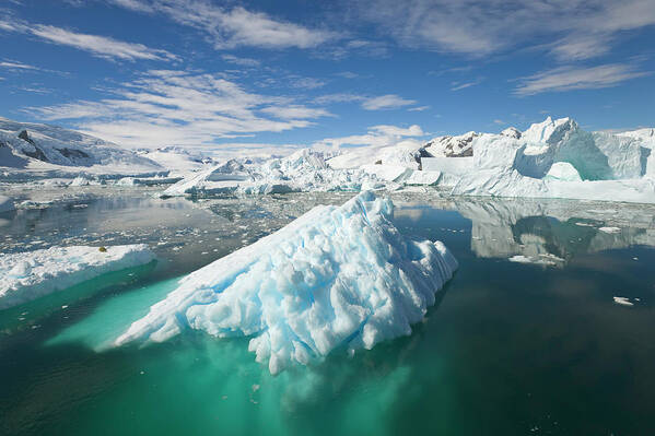 Scenics Art Print featuring the photograph Icebergs, Collins Bay, Antarctic by Eastcott Momatiuk