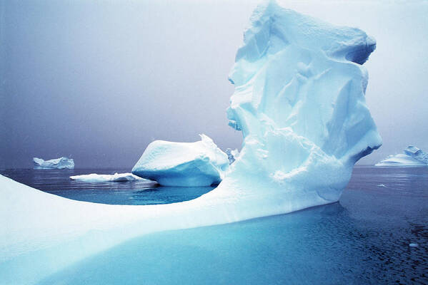 Scenics Art Print featuring the photograph Icebergs Floating On Antarctic Peninsula by Alexander Nicholson