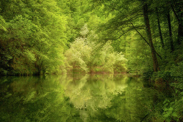 Nature Art Print featuring the photograph In the heart of nature by Mirko Chessari