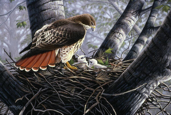 In The Nest Art Print featuring the painting In The Nest by Wilhelm Goebel