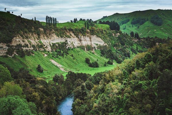 New Zealand Art Print featuring the photograph In The Valley by Nisah Cheatham