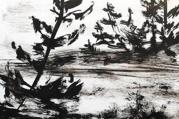 India Ink Art Print featuring the painting Ink Prochade 3 by Petra Burgmann