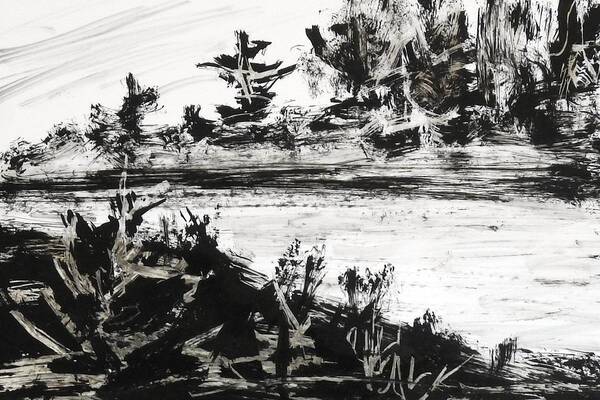 India Ink Art Print featuring the painting Ink Prochade 6 by Petra Burgmann