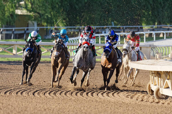 Into The Stretch Art Print featuring the photograph Into the Stretch -- Race Horses at Santa Anita Park, California by Darin Volpe