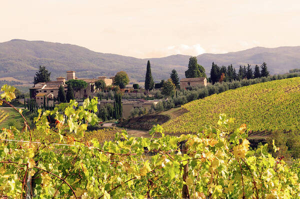 Scenics Art Print featuring the photograph Italian Village And Vineyard In Fall by Lisa-blue