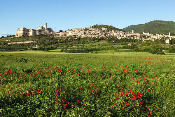 Assisi Art Print featuring the photograph Italy, Assisi The Religious Compound by Brenda Tharp