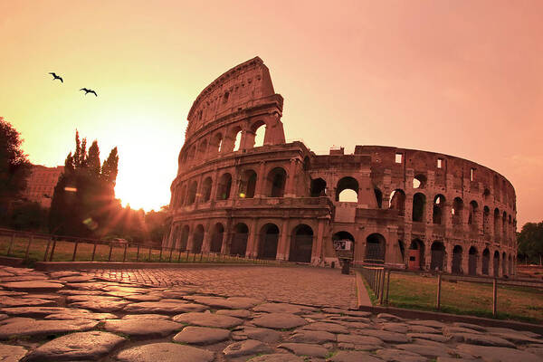 Dawn Art Print featuring the photograph Italy, Lazio, Rome, Colosseum At Dawn by Michele Falzone