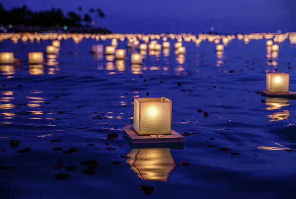 Japanese 2024 floating lanterns