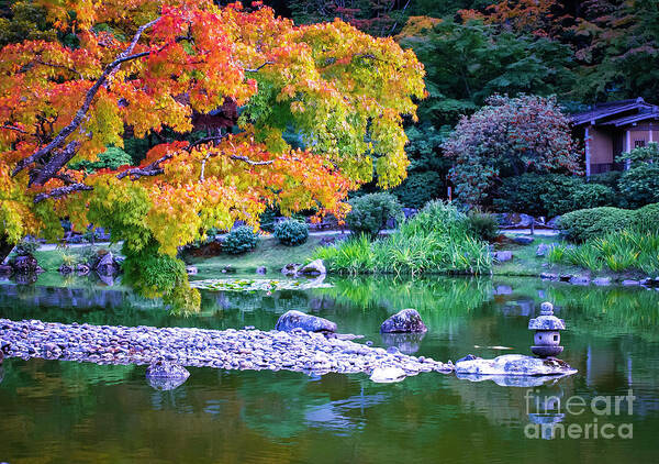 Japanese Garden Art Print featuring the photograph Japanese Garden by Mary Capriole