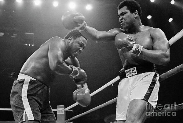 Joe Frazier Art Print featuring the photograph Joe Frazier And Muhammad Ali Boxing by Bettmann
