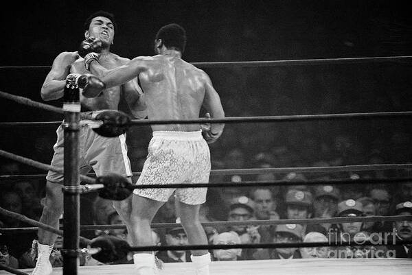 Joe Frazier Art Print featuring the photograph Joe Frazier Punching Muhammad Ali In Jaw by Bettmann