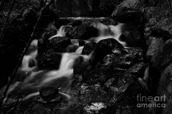 Photograph Art Print featuring the photograph Julie's Photo Monochrome-368 by Fine art photographer JULIE