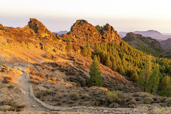 Landscape At The "roque Nublo" Monolith In The High Mountains Of