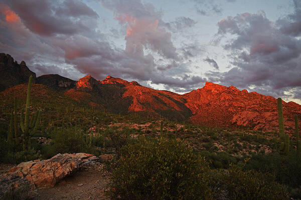 Catalina Mountains Art Print featuring the photograph Last light on Catalina Mountains by Chance Kafka