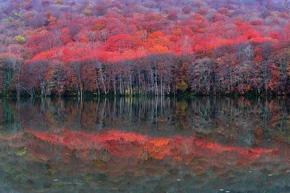 Tranquility Art Print featuring the photograph Late Autumn by Katsumi.takahashi