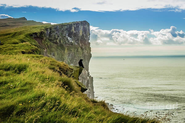 Cliff Art Print featuring the photograph Latrabjarg cliffs, Iceland by Lyl Dil Creations