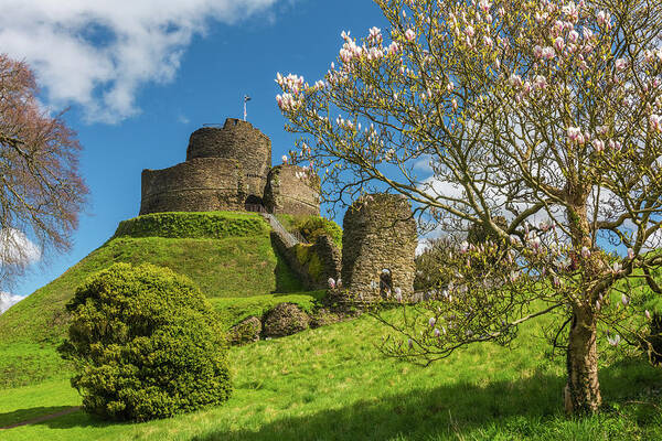 Cornwall Art Print featuring the photograph Launceston Castle, Cornwall by David Ross