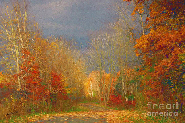 Path Art Print featuring the photograph Autumn Chances by Carol Randall
