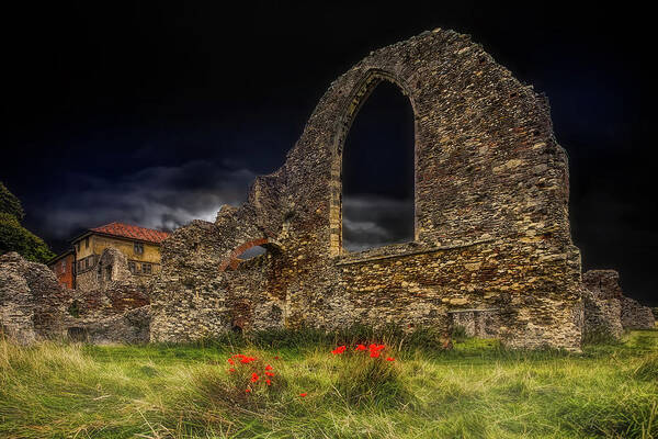 Leiston Art Print featuring the photograph Leiston Abbey and Poppies by Carl H Payne