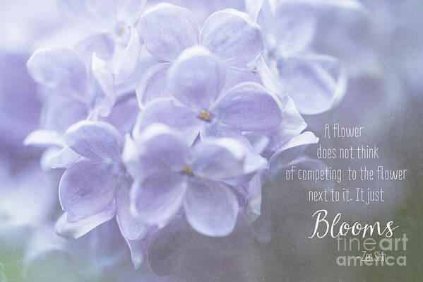 Lilac Art Print featuring the photograph Lilac Blooms with Quote by Anita Pollak