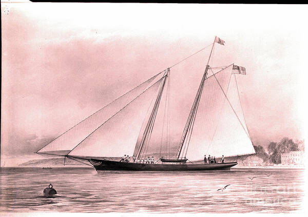 1850-1859 Art Print featuring the photograph Lithograph Of Yacht America by Bettmann