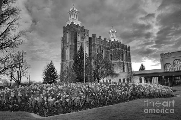 Logan Temple Art Print featuring the photograph Logan Temple Sunset Black And White by Adam Jewell