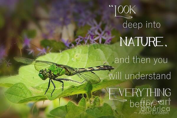 Dragonfly Art Print featuring the photograph Look Deep Into Nature by Mary Lou Chmura