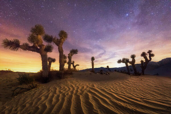 Desert Art Print featuring the photograph Lost Souls by Chris Moore