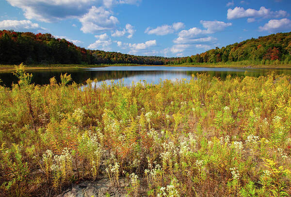 Allegheny Plateau Art Print featuring the photograph Lower Woods Pond by Michael Gadomski