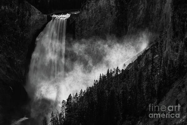 Lower Yellowstone Falls Art Print featuring the photograph Lower Yellowstone Falls by Doug Sturgess