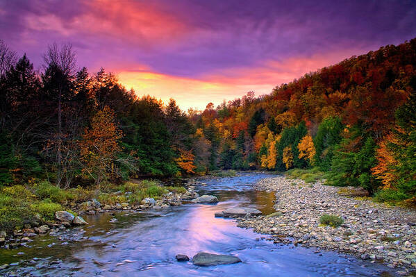 Allegheny Mountains Art Print featuring the photograph Loyalsock Creek by Michael Gadomski