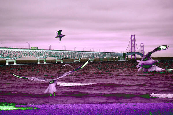 Mackinac Bridge Art Print featuring the photograph Mackinac Bridge Seagulls by Tom Kelly