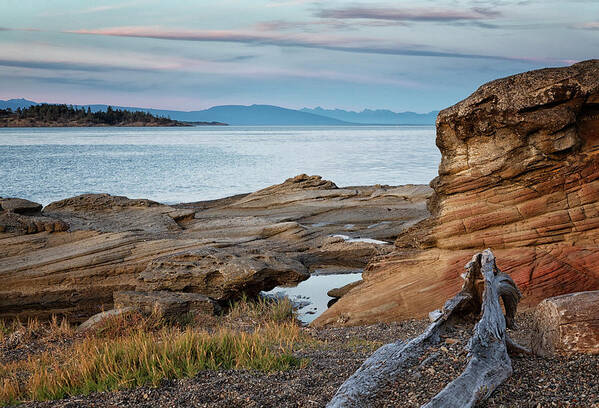 Madrona Point Art Print featuring the photograph Madrona on a Summer Evening by Randy Hall