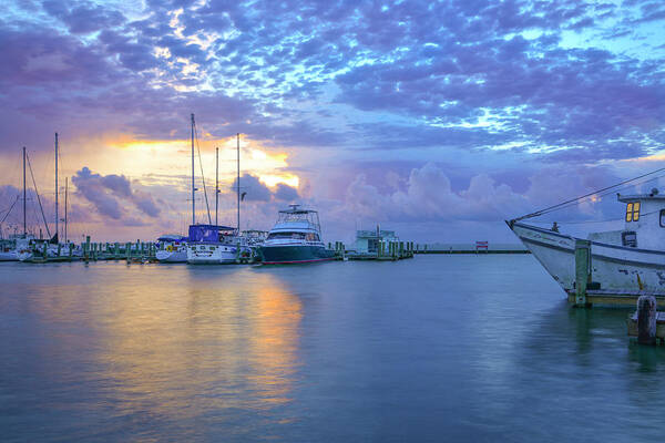 Boats Art Print featuring the photograph Marina in the Morning by Christopher Rice