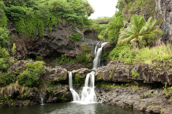 Tropical Rainforest Art Print featuring the photograph Maui&8217s Seven Sacred Pools by 400tmax