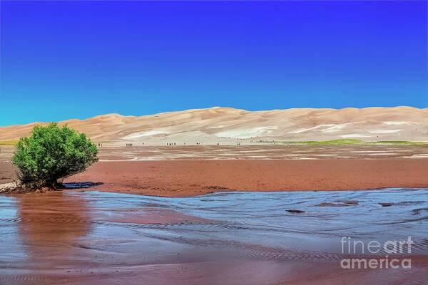 Jon Burch Art Print featuring the photograph Medano Creek by Jon Burch Photography