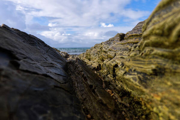 Macro Art Print featuring the photograph Micro Ravine by Eric Hafner