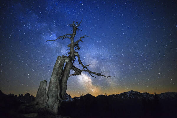 Landscape Art Print featuring the photograph Milky Way by Dr. Nicholas Roemmelt