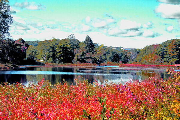 Ashland Art Print featuring the digital art Mill Pond in September by Cliff Wilson