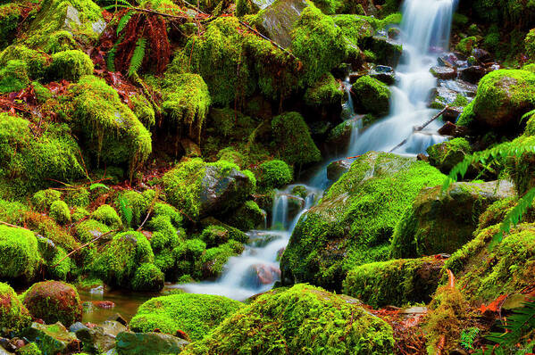 Deebrowningphotography.com Art Print featuring the photograph Mini Cascading Waters by Dee Browning