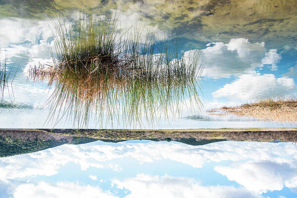 Reflection Art Print featuring the photograph Mirrored Horizon by Local Snaps Photography