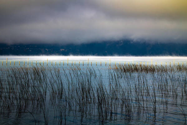 Lake Art Print featuring the photograph Mist On The Lake by Christophe Baudot