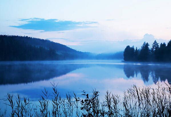 Scenics Art Print featuring the photograph Misty Lake by Ssuni