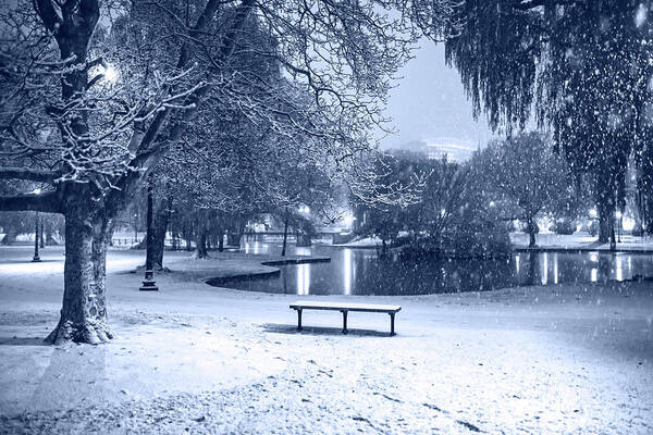 Boston Art Print featuring the photograph Monochrome Blue Nights Boston Snowfall in the Boston Public Garden Boston MA Pond by Toby McGuire