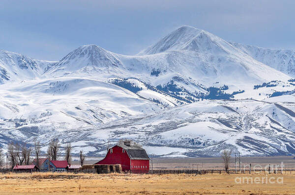 Farmhouse Art Print featuring the photograph Montana Farm Dwarfed By Tall Mountains by Mh Anderson Photography