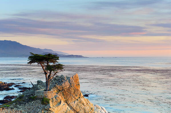 Scenics Art Print featuring the photograph Monterey Peninsula, Lone Cypress by Michele Falzone