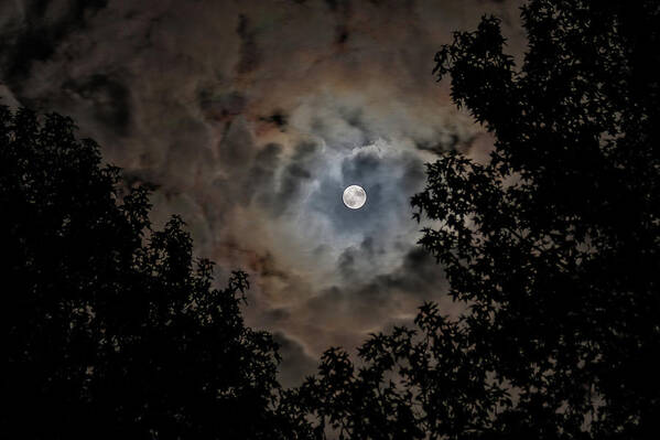 Moon Art Print featuring the photograph Moon and Clouds 2 by Allin Sorenson